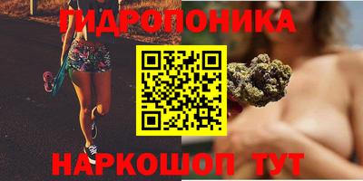 шишки Первоуральск